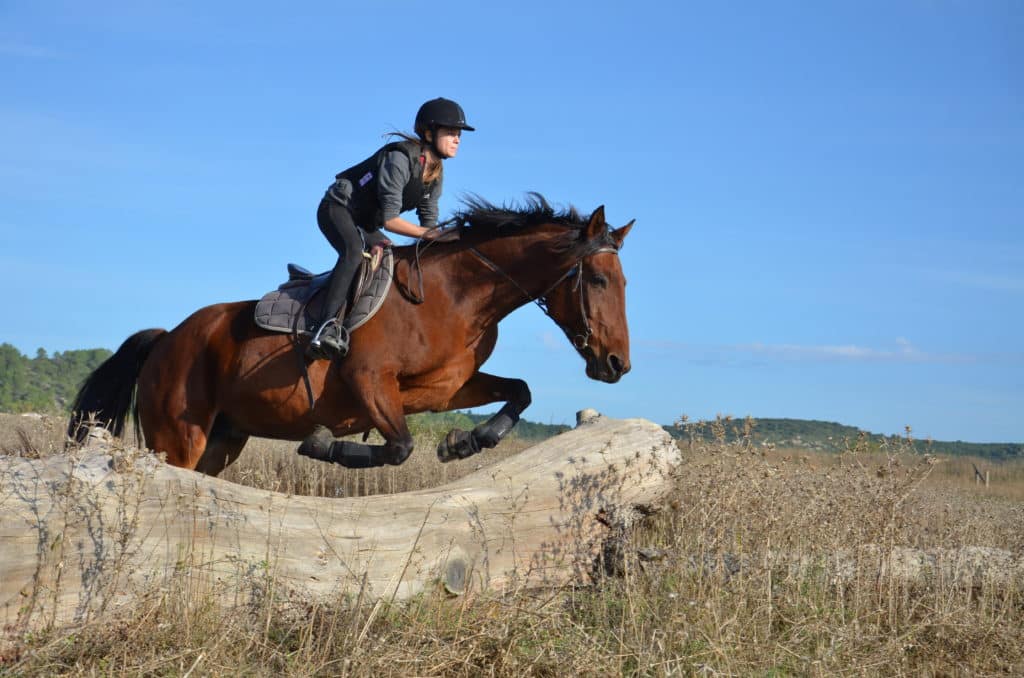 Journée TREC